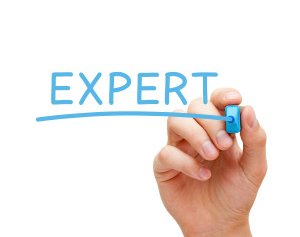 We provide subject matter experts